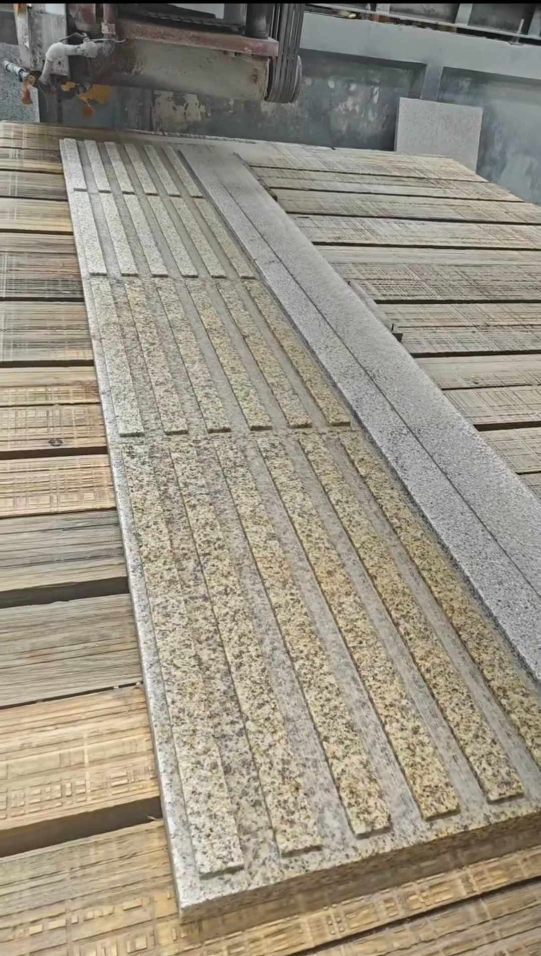 浙江黄金麻盲道石 盲条